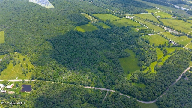 003.22 Larry Hill Rd, Wright, NY 12053 - photo 2