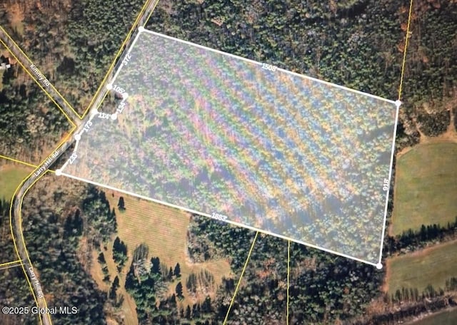 003.22 Larry Hill Rd, Wright, NY 12053 - photo 1