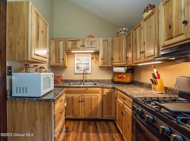 64 Coon Ln, Salem, NY 12865 - kitchen featuring white microwave, gas range oven, under cabinet range hood, dark wood-type flooring, and dark countertops