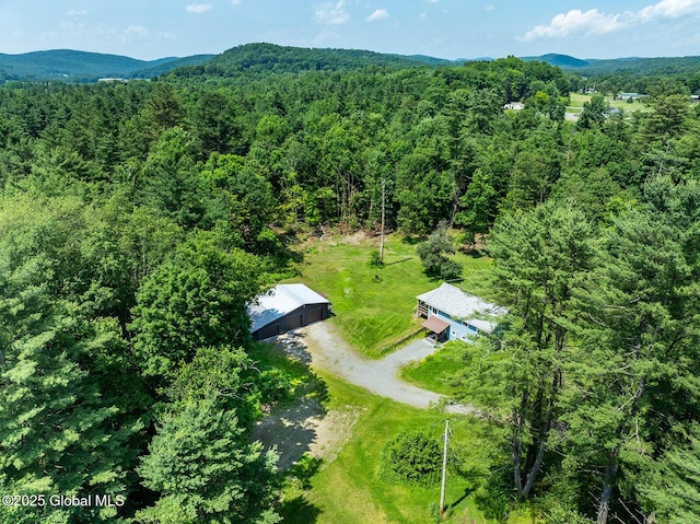 64 Coon Ln, Salem, NY 12865 - view of subject property with a heavily wooded area and a mountainous background