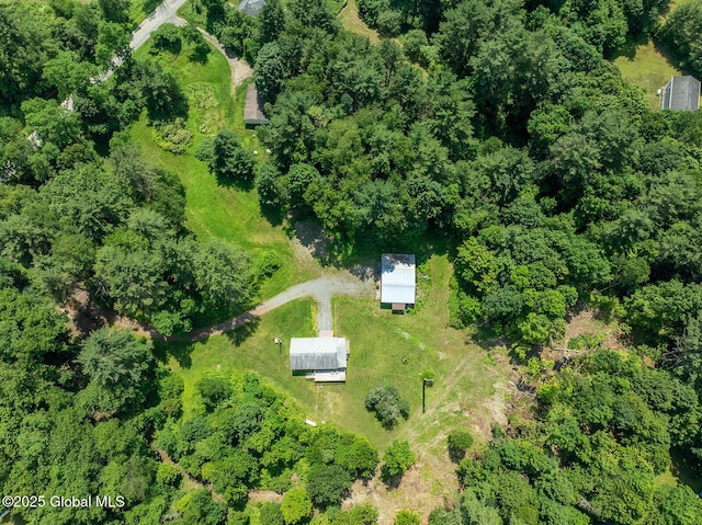 64 Coon Ln, Salem, NY 12865 - view of property location