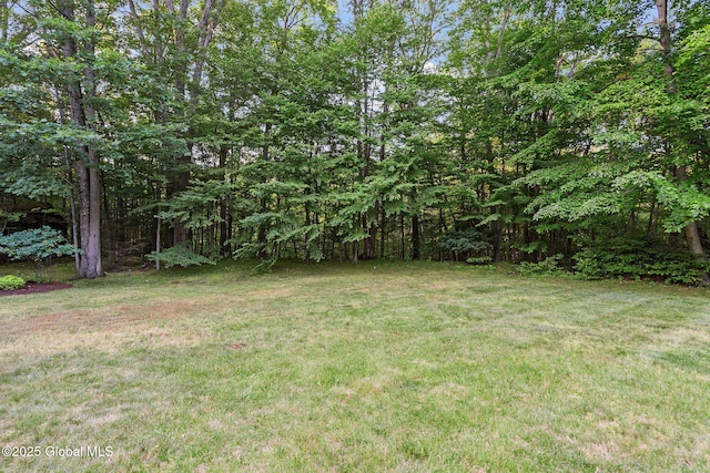 79A Southbury Rd, Clifton Park, NY 12065 - photo 42