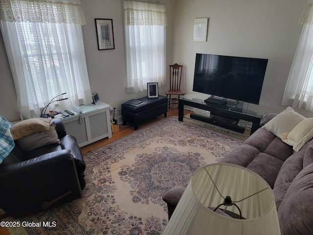 1045 Wallace Ave, Rotterdam, NY 12306 - living room with wood finished floors