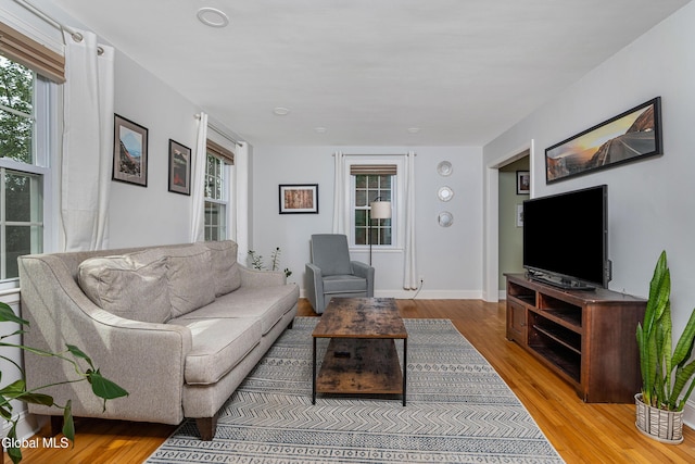 30 Crannell Ave, Bethlehem, NY 12054 - living area with wood finished floors and plenty of natural light
