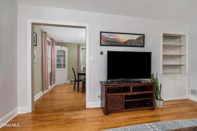 30 Crannell Ave, Bethlehem, NY 12054 - living area with light wood finished floors and built in shelves