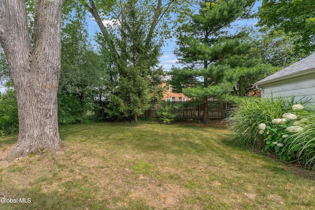 30 Crannell Ave, Bethlehem, NY 12054 - view of yard