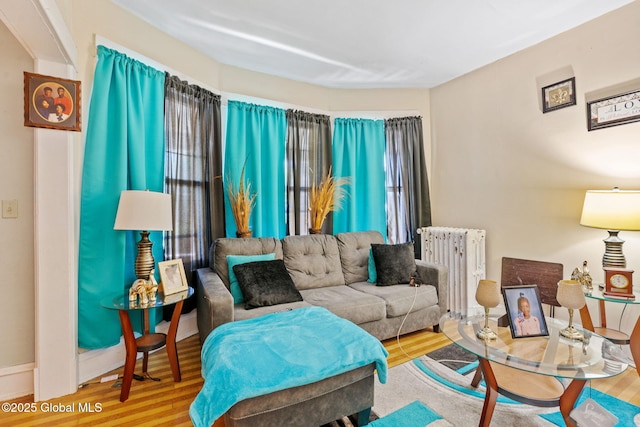 373 Delaware Ave, Albany, NY 12209 - living area with radiator and wood finished floors