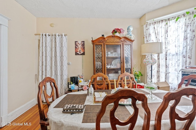373 Delaware Ave, Albany, NY 12209 - dining area featuring wood finished floors, healthy amount of natural light, and a textured ceiling