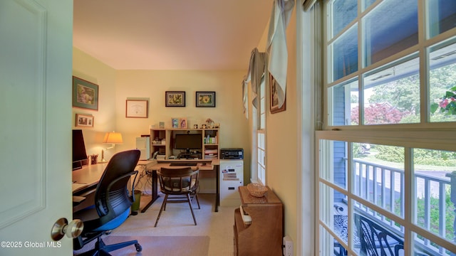 3 Horseshoe Turn, Clifton Park, NY 12065 - photo 9