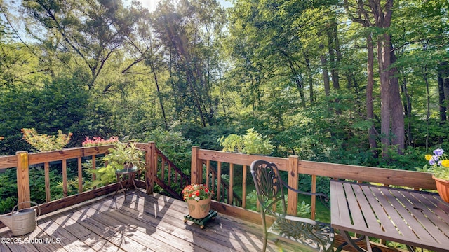 3 Horseshoe Turn, Clifton Park, NY 12065 - photo 60