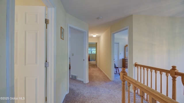 3 Horseshoe Turn, Clifton Park, NY 12065 - photo 42