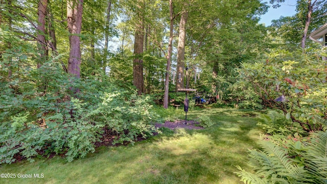 3 Horseshoe Turn, Clifton Park, NY 12065 - photo 66