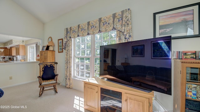 3 Horseshoe Turn, Clifton Park, NY 12065 - photo 33