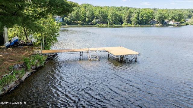 31 W Shore Dr, Berne, NY 12186 - photo 7