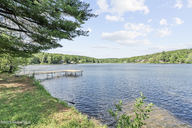 31 W Shore Dr, Berne, NY 12186 - photo 5