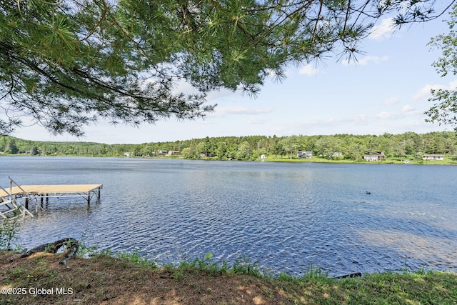31 W Shore Dr, Berne, NY 12186 - photo 4