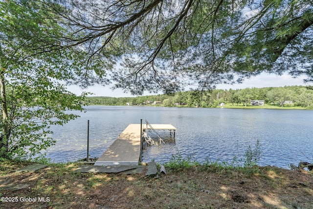 31 W Shore Dr, Berne, NY 12186 - photo 6