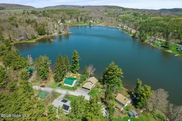 31 W Shore Dr, Berne, NY 12186 - photo 9