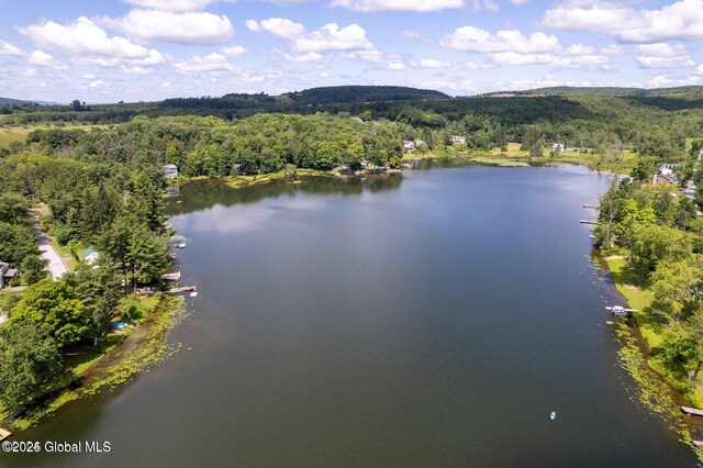 31 W Shore Dr, Berne, NY 12186 - photo 39