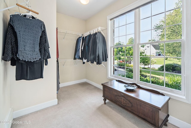18 Beresford Rd, Clifton Park, NY 12019 - spacious closet with carpet