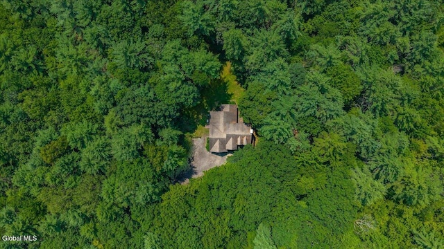 20 Lester Ln, Greenfield, NY 12850 - photo 29