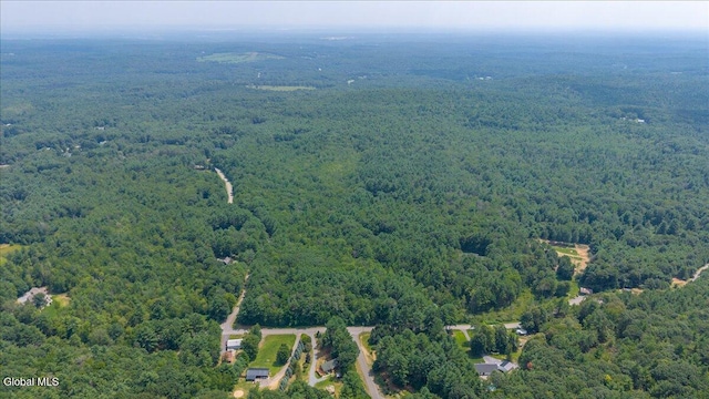 20 Lester Ln, Greenfield, NY 12850 - photo 31
