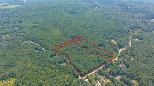 20 Lester Ln, Greenfield, NY 12850 - photo 37