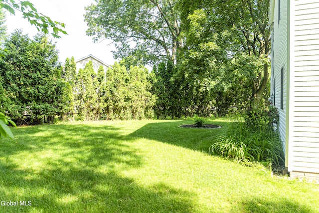 8 Burning Bush Blvd, Clifton Park, NY 12019 - photo 67