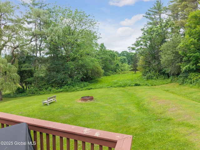 141 Morning Sun Dr, Middleburgh, NY 12157 - photo 22