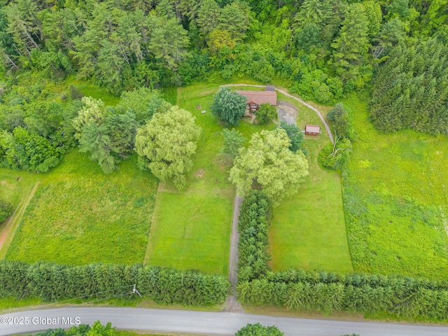 141 Morning Sun Dr, Middleburgh, NY 12157 - photo 25