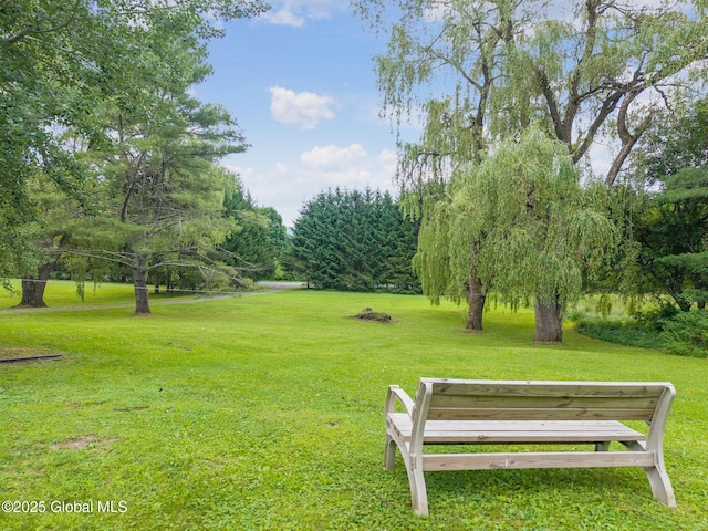 141 Morning Sun Dr, Middleburgh, NY 12157 - photo 27