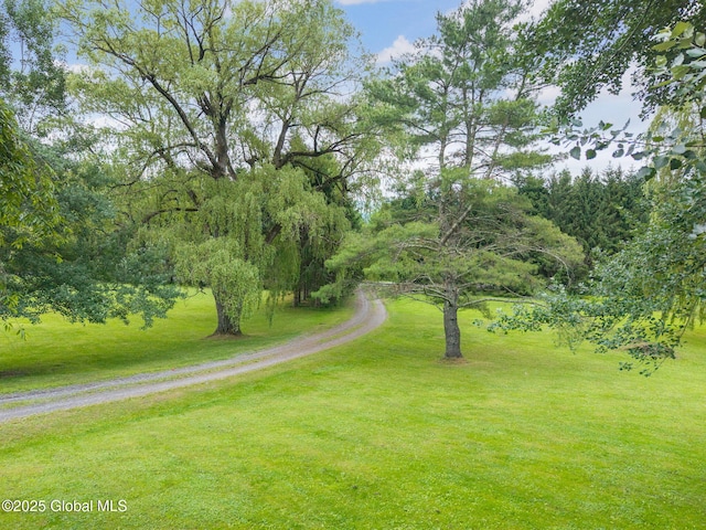 141 Morning Sun Dr, Middleburgh, NY 12157 - photo 28