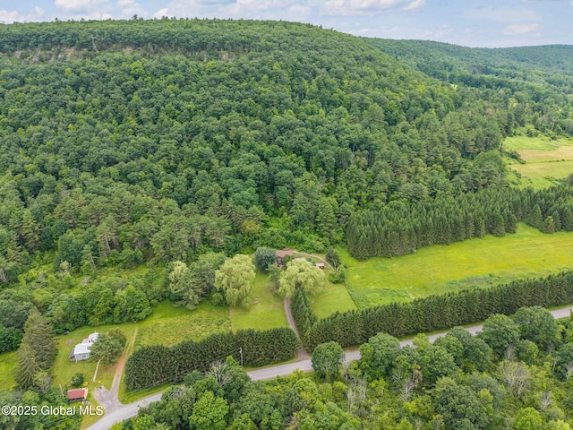 141 Morning Sun Dr, Middleburgh, NY 12157 - photo 29