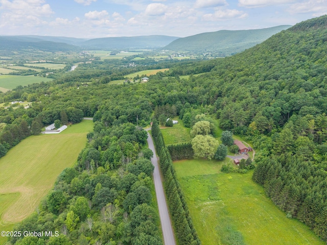 141 Morning Sun Dr, Middleburgh, NY 12157 - photo 30