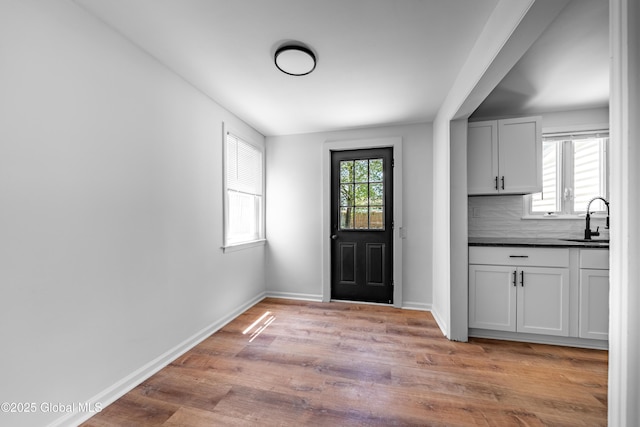 2095 Fiero Ave, Rotterdam, NY 12303 - entryway featuring light wood-type flooring