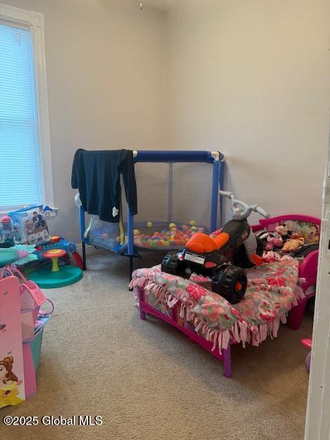527 Pawling Ave, Troy, NY 12180 - rec room featuring carpet and plenty of natural light