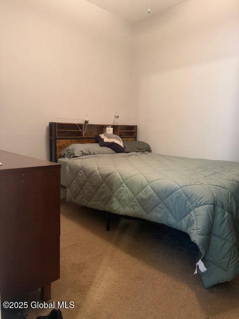 527 Pawling Ave, Troy, NY 12180 - view of carpeted bedroom