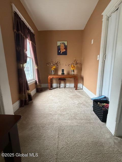 527 Pawling Ave, Troy, NY 12180 - office area featuring carpet floors and baseboards
