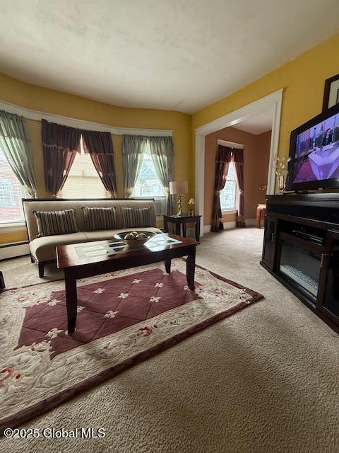 527 Pawling Ave, Troy, NY 12180 - living room featuring carpet and a baseboard heating unit
