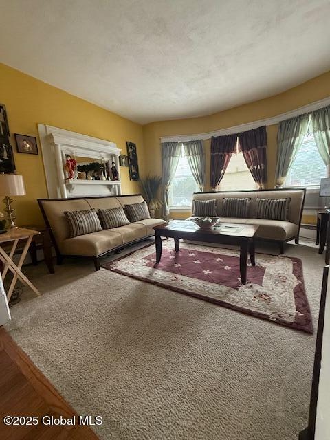 527 Pawling Ave, Troy, NY 12180 - living area with plenty of natural light and carpet flooring