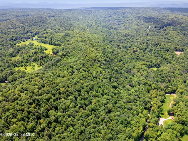 L1 Lassen Rd, Broome, NY 12122