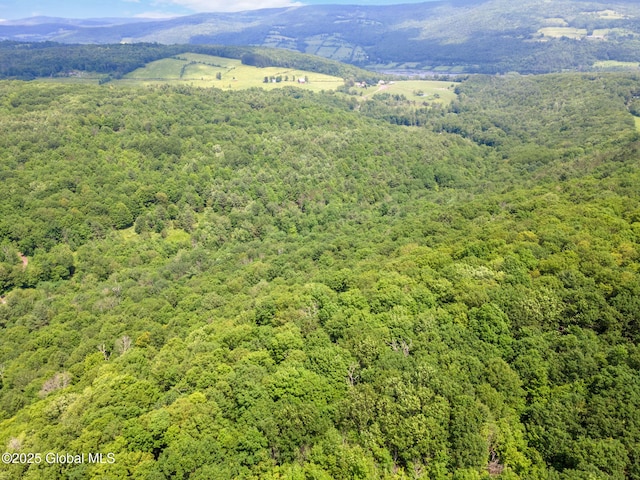 L1 Lassen Rd, Broome, NY 12122