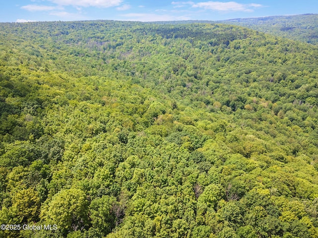 L1 Lassen Rd, Broome, NY 12122