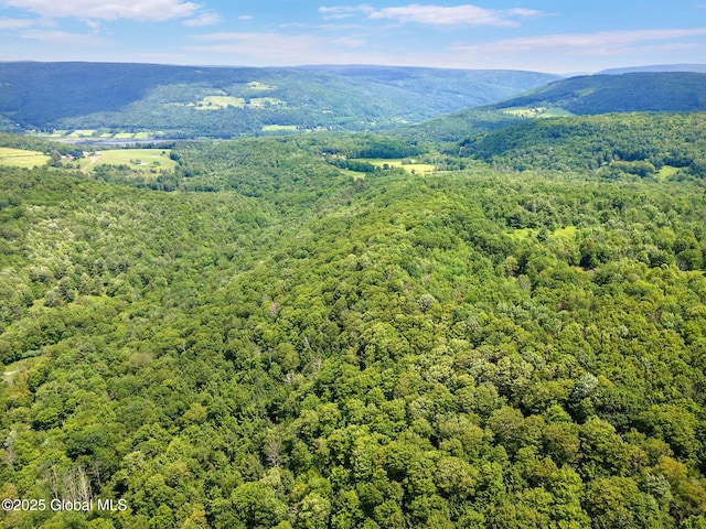 L1 Lassen Rd, Broome, NY 12122