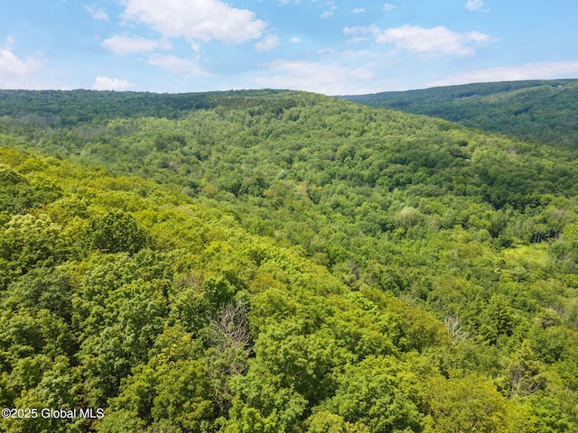 L1 Lassen Rd, Broome, NY 12122