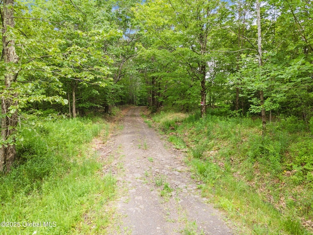 L1 Lassen Rd, Broome, NY 12122