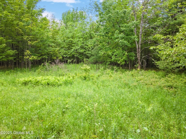 L1 Lassen Rd, Broome, NY 12122