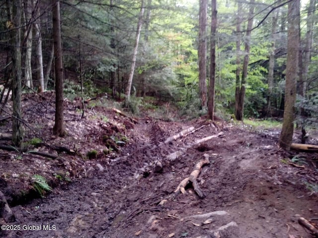 3190 State Highway 10, Johnstown, NY 12095 - view of tree filled area