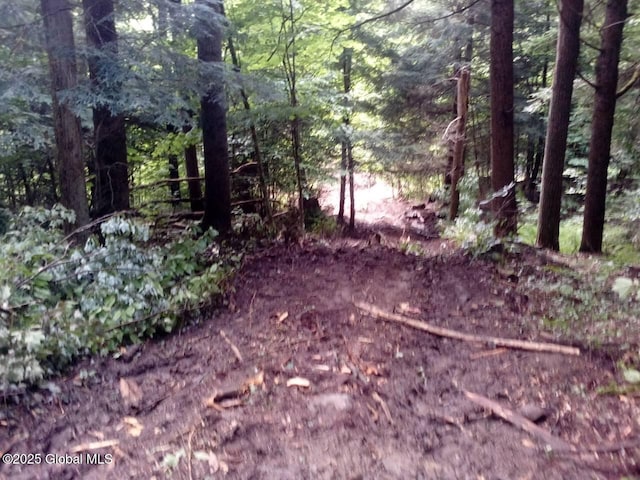 3190 State Highway 10, Johnstown, NY 12095 - view of woods