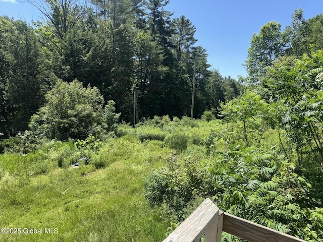3190 State Highway 10, Johnstown, NY 12095 - view of yard with a forest view